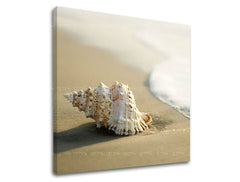 Pittura murale BEACH