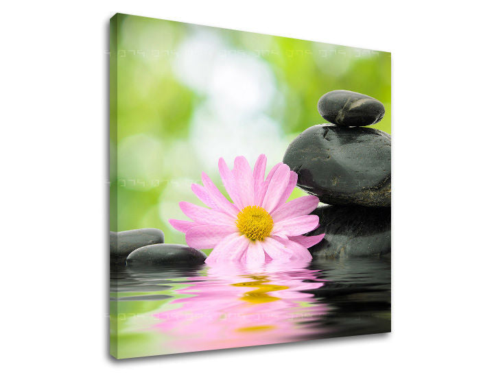 Pittura murale FENG SHUI