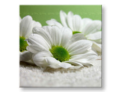 Pittura murale FIORI