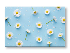 Pittura murale FIORI BIANCHI_163-11