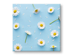 Pittura murale FIORI BIANCHI_163-12
