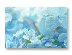 Pittura murale FIORI BLU_152-11