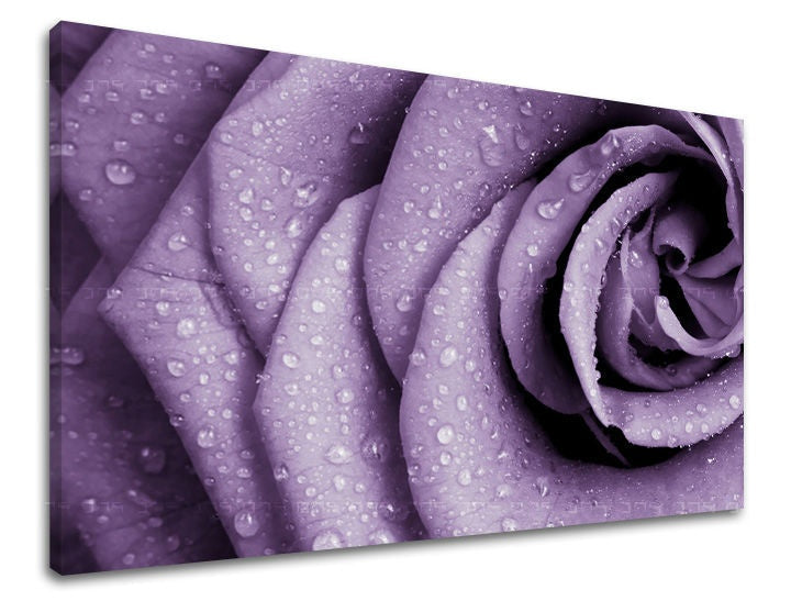 Pittura murale FIORI DI ROSE