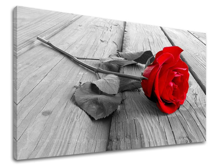 Pittura murale FIORI DI ROSE