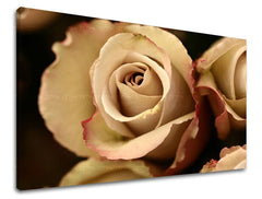 Pittura murale FIORI DI ROSE