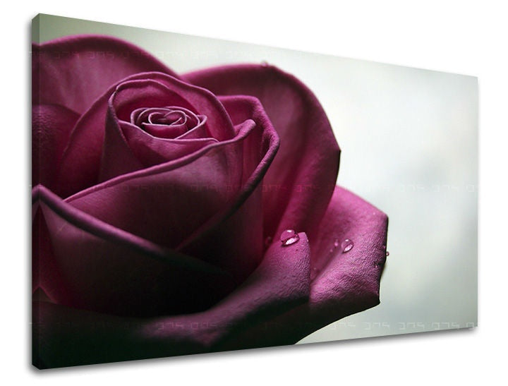 Pittura murale FIORI DI ROSE