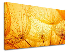 Pittura murale FIORI PÚPAVA - immagine 2
