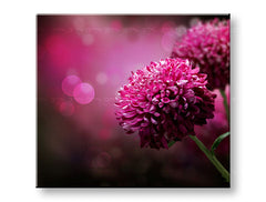 Pittura murale FIORI ROSA_149-11