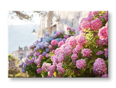 Pittura murale FIORI ROSA_157-11