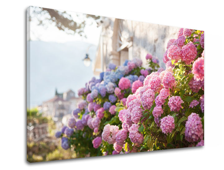 Pittura murale FIORI ROSA_157-11 - immagine 5