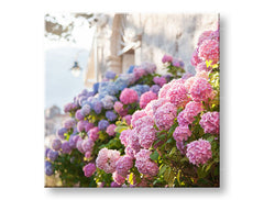 Pittura murale FIORI ROSA_157-12