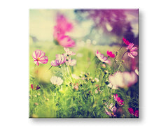 Pittura murale FIORI ROSA_165-12