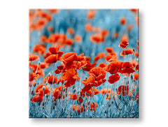 Pittura murale FIORI ROSSI_159-12