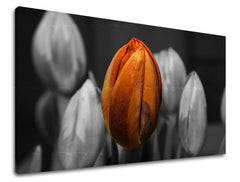 Pittura murale FIORI TULIPANI