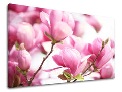Pittura murale FIORI