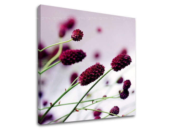 Pittura murale FIORI