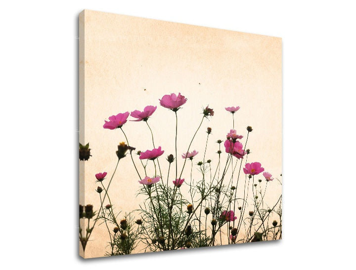Pittura murale FIORI