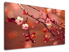 Pittura murale FIORI