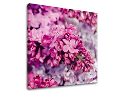 Pittura murale FIORI