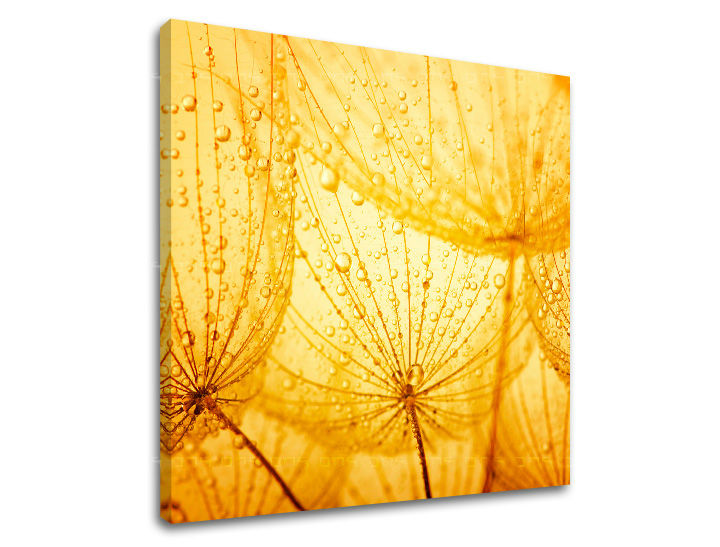 Pittura murale FIORI
