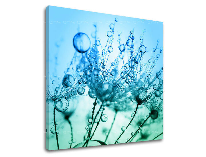 Pittura murale FIORI