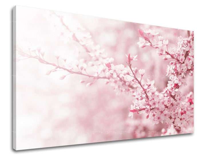 Pittura murale FIORI