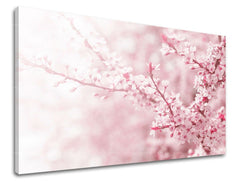 Pittura murale FIORI
