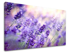 Pittura murale FIORI