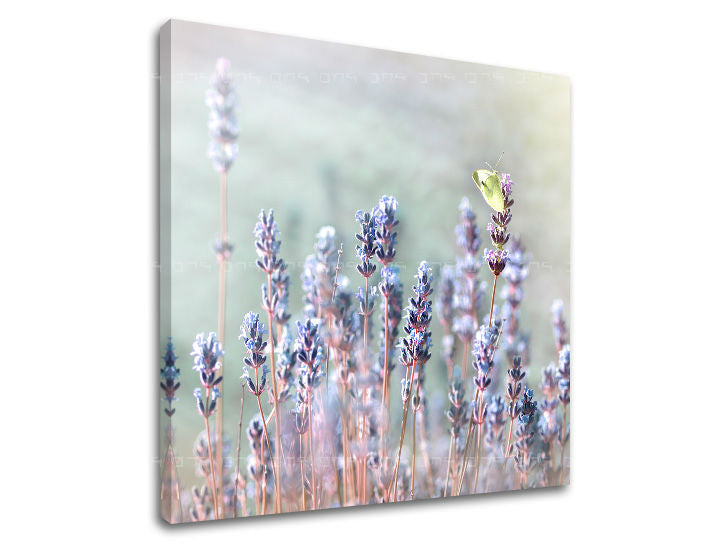 Pittura murale FIORI