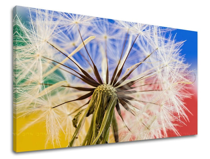 Pittura murale FIORI