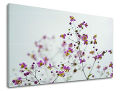 Pittura murale FIORI