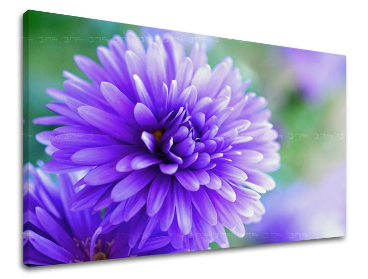 Pittura murale FIORI
