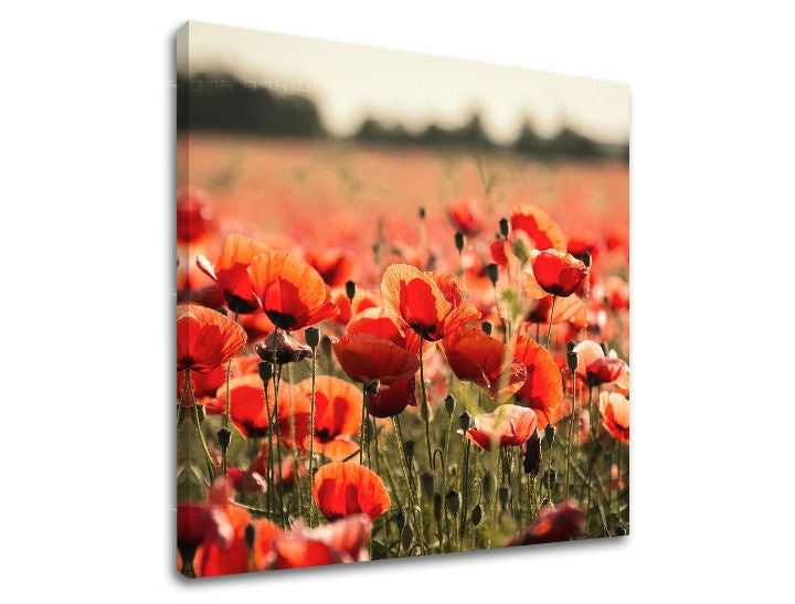 Pittura murale FIORI