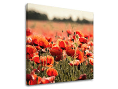 Pittura murale FIORI