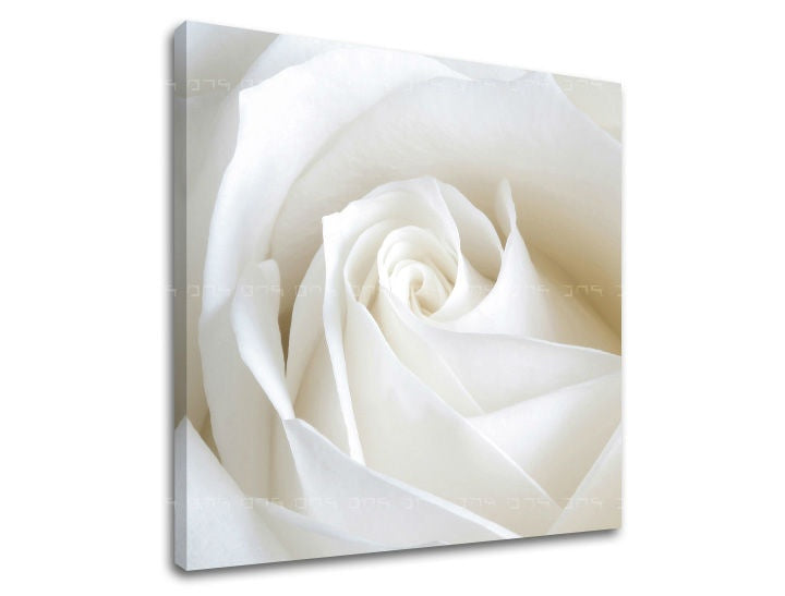Pittura murale FIORI