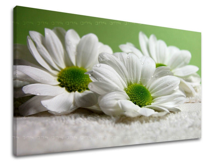 Pittura murale FIORI