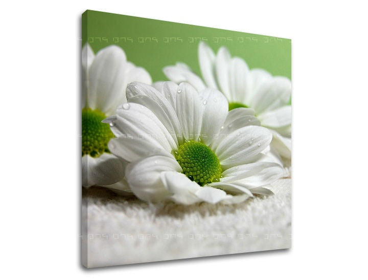 Pittura murale FIORI