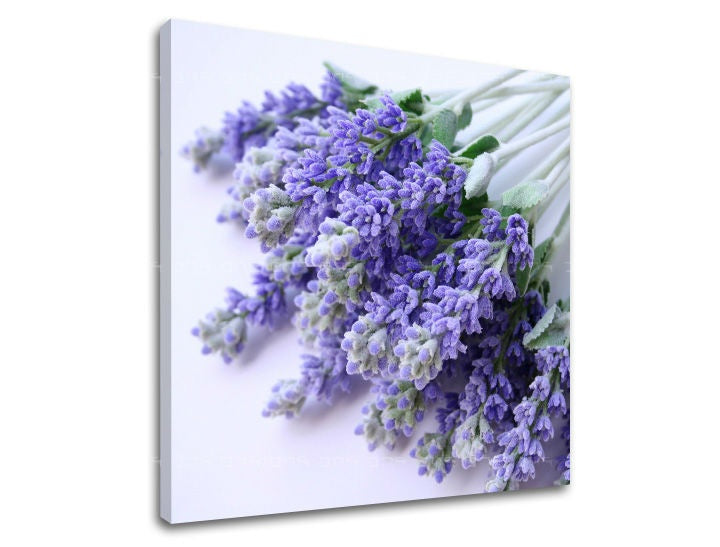 Pittura murale FIORI