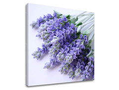 Pittura murale FIORI