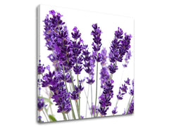 Pittura murale FIORI