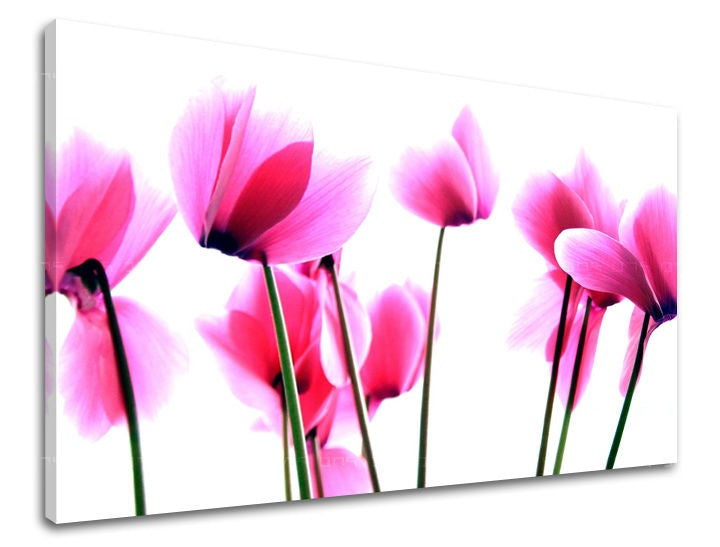 Pittura murale FIORI