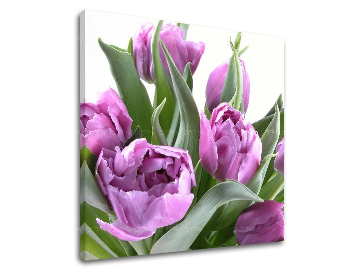 Pittura murale FIORI