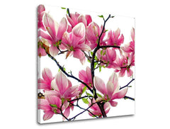 Pittura murale FIORI