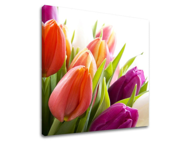 Pittura murale FIORI