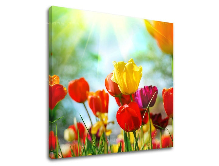Pittura murale FIORI