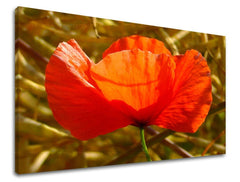 Pittura murale FLOWERS MAKY