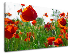 Pittura murale FLOWERS MAKY