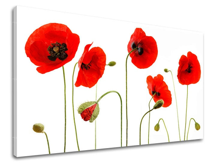 Pittura murale FLOWERS MAKY