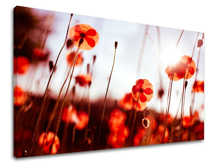 Pittura murale FLOWERS MAKY
