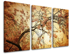 Pittura murale in 3 parti FIORI